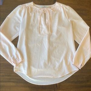 Dex the Suit Shop New York Light Pink Tie-Neck Semi-sheer Long Sleeve Blouse